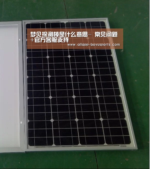 博鱼体育帮助中心 