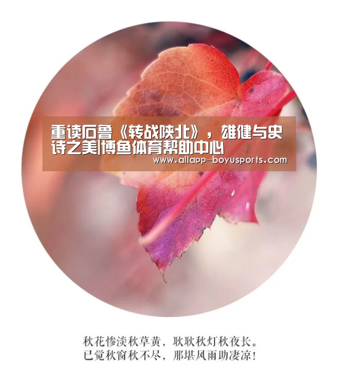 博鱼体育帮助中心 