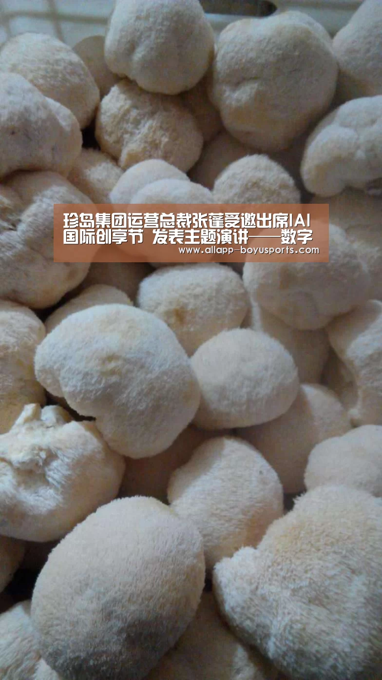 博鱼体育帮助中心 