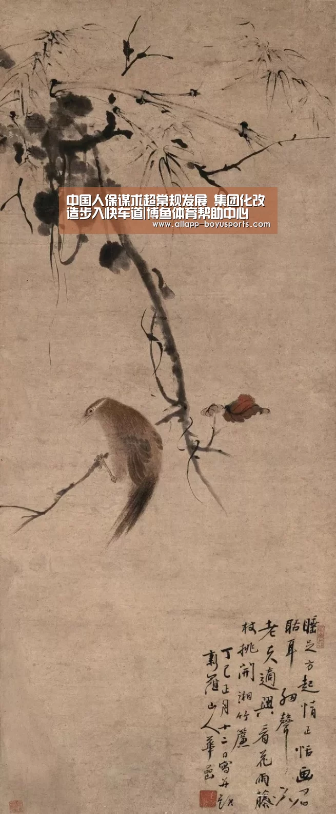 博鱼体育帮助中心 