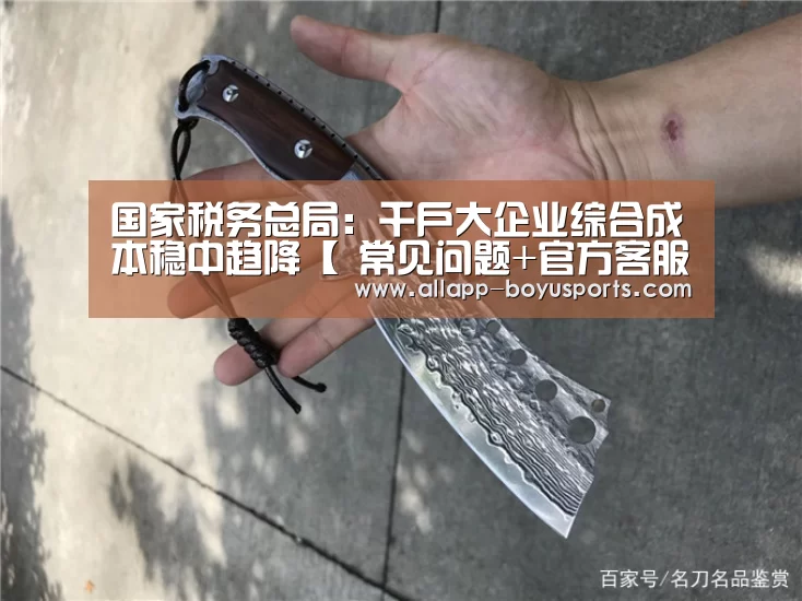  常见问题+官方客服支持